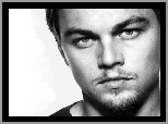 bródka, Leonardo DiCaprio, jasne oczy